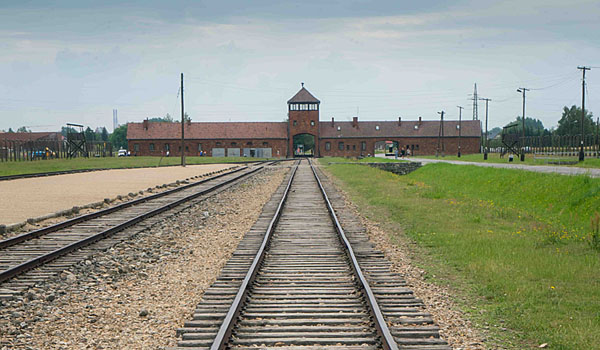 Train tracks lead up to the Auschwitz II-Birkenau death camp in Poland. While Nazi Germany occupied Poland from early 1942 to late 1944, an estimated 1.3 million people came by train to the camp. (Courtesy of Luke P. Uebler II)