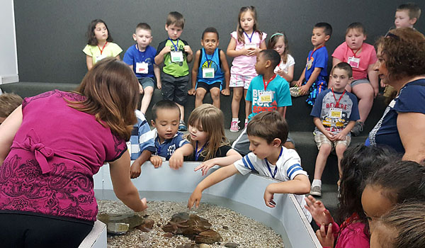 Catholic Academy of Niagara Falls children interact with sea creatures during a field trip to the Aquarium of Niagara as part of the STREAM program.