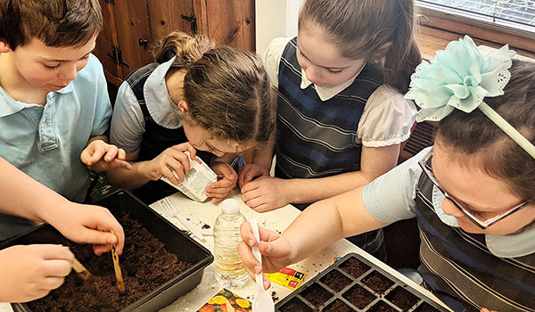 In the afterschool Garden Club, third- and fourth-grade students start planting seeds that will grow in the community garden at St. John the Baptist, Alden. (Courtesy of St. John the Baptist)