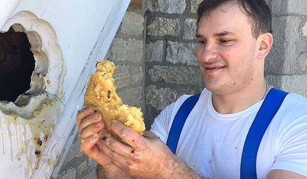 Father Ryszard Biernat holds a chunk of honeycomb that was removed from the All Saints Church roof. (Courtesy of Diocesan Buildings and Properties)
