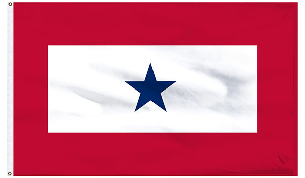 The Blue Star Mothers service flag.