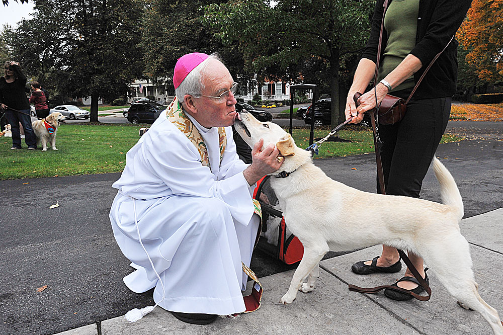 Bishop Richard Malone gets a lick from Gunnar, a Labrador Retriever, as the bishop holds a pet blessing for the feast of St. Francis of Assisi on the front lawn of the bishop's residence in Buffalo. (Patrick McPartland/Staff Photographer)