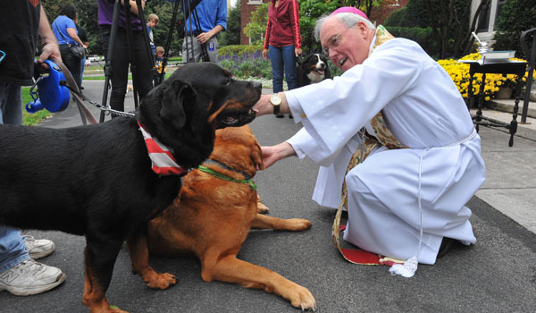 Bishop Richard Malone will hold a pet blessing for the feast of St. Francis of Assisi on the front lawn of the bishop's residence in Buffalo.