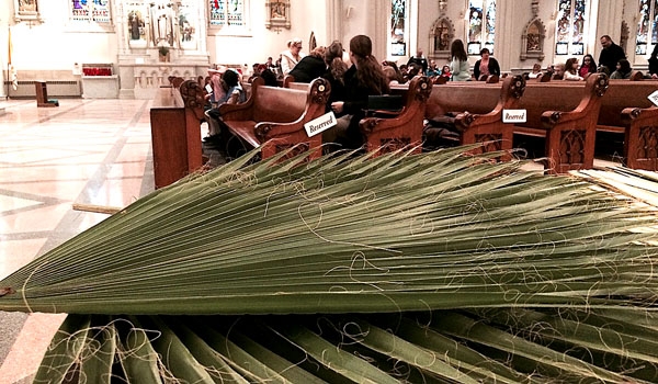 Palm Sunday at St. Joseph Cathedral.
(Kevin Keenan)