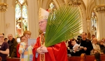 Palm Sunday