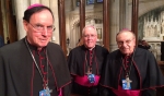 Three Buffalo Bishops
