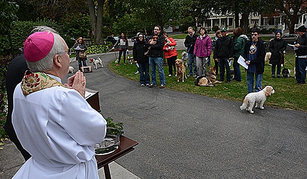 Bishop Richard J. Malone blesses animals on the front lawn of his residence the day before the Feast of St. Francis. The tradition of blessing animals is conducted as a remembrance of St. Francis of Assisi's love for creation.