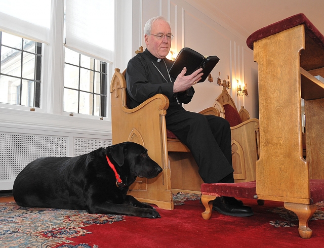 Bishop Richard J. Malone recently adopted a 5-year-old black lab and named him Timon.
