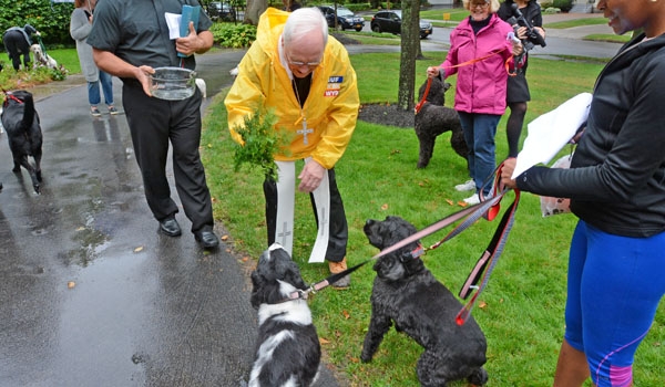 Bishop Richard J. Malone blesses Lexi and Martin outside his residence to honor the feast of St. Francis of Assisi. 
(Patrick McPartland/Staff Photographer)